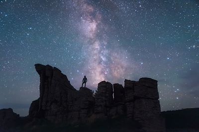 Voyage Désert Mongolie