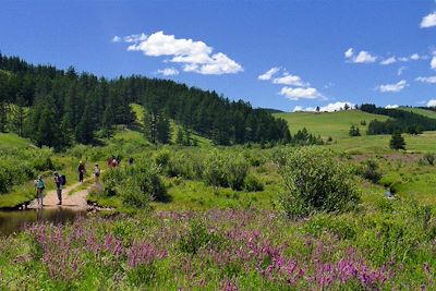 Parc national de Terelj - Mongolie