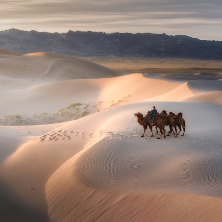 Du désert de Gobi à la vallée de l'Orkhon