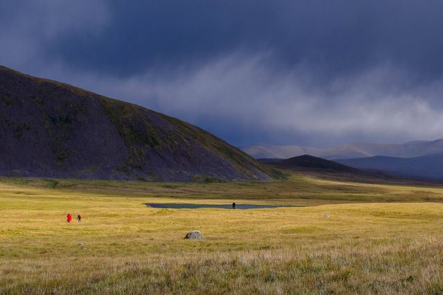 Plaines de l Arkhangay - Mongolie 