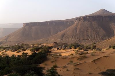 Palmeraie de Terjit - Les oasis de l'Adrar - Mauritanie