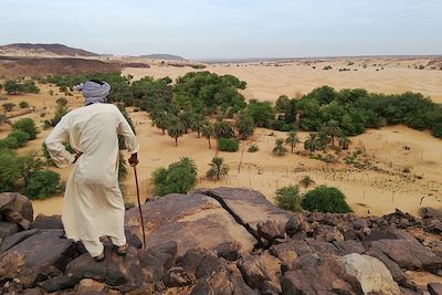 Oasis - Mauritanie