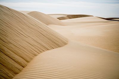 Randonnée avec chameau Mauritanie