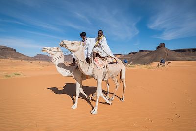 Voyage La caravane de l’Adrar et oasis 3