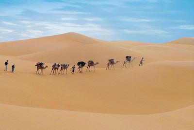 Erg Ouarane - Mauritanie