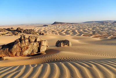Randonnée avec chameau Mauritanie