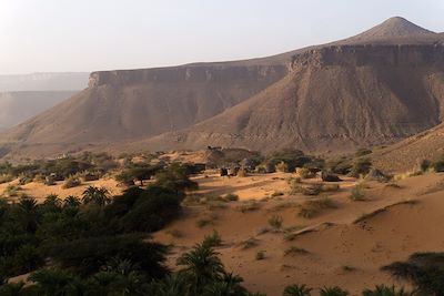 © Florent Bochet - Palmeraie de Terjit - Les oasis de l'Adrar - Mauritanie Palmeraie de Terjit - Les oasis de l'Adrar - Mauritanie