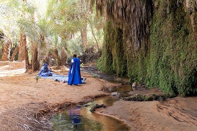 © Florent Bochet - Palmeraie de Terjit - Les oasis de l'Adrar - Mauritanie Palmeraie de Terjit - Les oasis de l'Adrar - Mauritanie