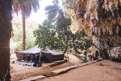 © Roberto Frankenberg pour Terres d'Aventure - Oasis de Terjit, Mauritanie Oasis de Terjit, Mauritanie