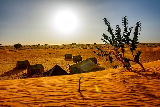 Randonnée : Voyage astronomie en Mauritanie avec Benoît Reeves Voyage Voyage astronomie en Mauritanie avec Benoît Reeves