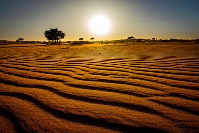 © Stéphane Irion - Désert de Mauritanie Désert de Mauritanie