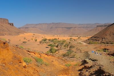 © AlexQ / Fotolia - Randonnée dans l'erg - Mauritanie Randonnée dans l'erg - Mauritanie