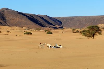 © Mabrouk Hamrit - Point d'eau - Mauritanie Point d'eau - Mauritanie