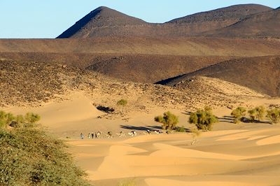 © Mabrouk Hamrit - Région de Oudeï Ecker - Mauritanie Région de Oudeï Ecker - Mauritanie