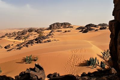 © Vincent Sacramento - Chaîne de Zarga - Mauritanie Chaîne de Zarga - Mauritanie