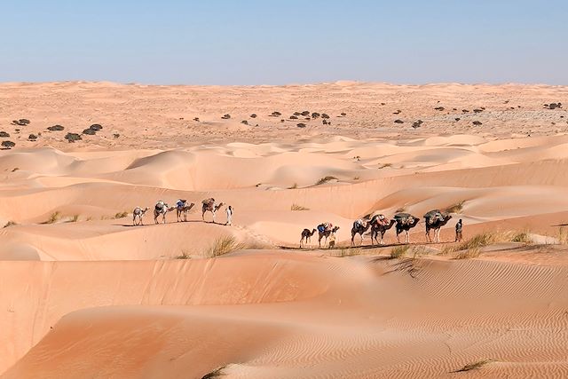 Voyage : Chinguetti et les dunes de l'erg Ouarane Voyage Chinguetti et les dunes de l'erg Ouarane