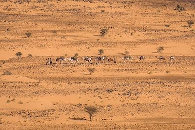 © Francois Vanniere - Maaden - Jouali - Mauritanie Maaden - Jouali - Mauritanie