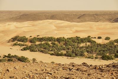 Oued Timnit
