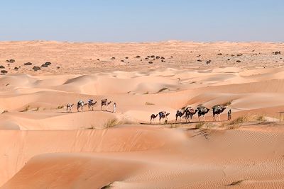 Circuits accompagnés Mauritanie