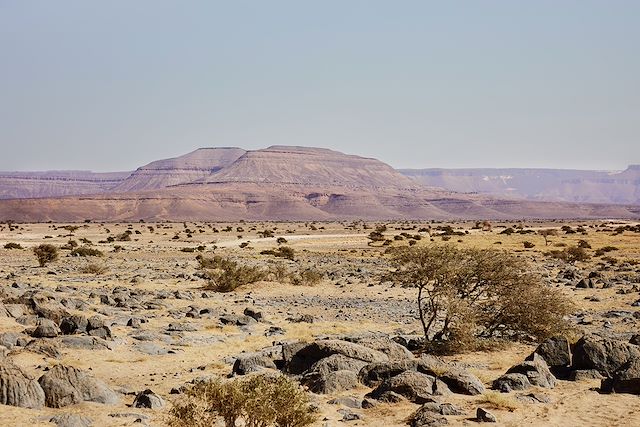 Randonnée avec chameau Mauritanie