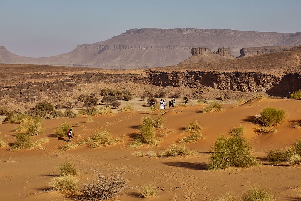 Randonnée avec chameau Mauritanie