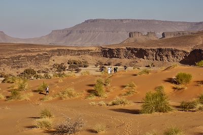marche de N'Kref en direction de Oued el Tenzzent et ensuite vers Terjit et vers Atar