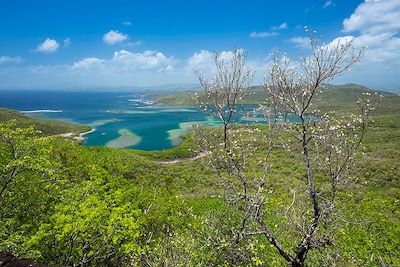 Voyage Bord de mer et îles Martinique