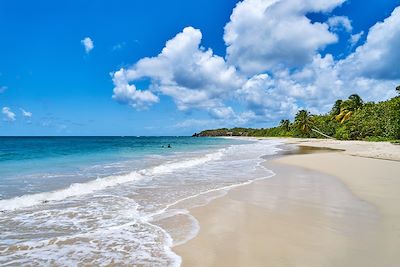 Anse des Salines - Martinique