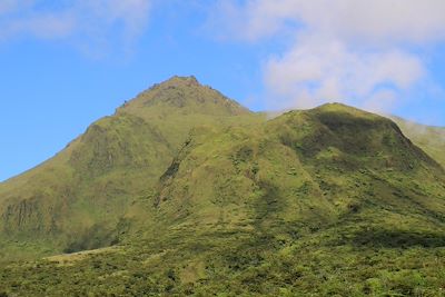 © Emilie Drouet - Montagne pelée - Martinique - France Montagne pelée - Martinique - France