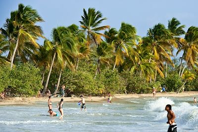 © GUIZIOU Franck / hemis.fr - Plage de la Grande Anse des Salines - Martinique Plage de la Grande Anse des Salines - Martinique