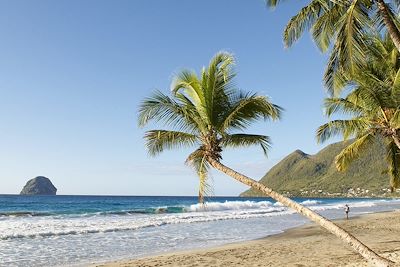 © mauritius images GmbH / Alamy / Hemis - Le Diamant - Martinique Le Diamant - Martinique