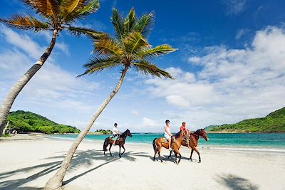 © Danielle Devaux/Sime / Photononstop - Randonnée à cheval en bord de mer - Sainte-Luce - Martinique Randonnée à cheval en bord de mer - Sainte-Luce - Martinique