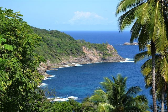 Voyage L'île de la Dominique en liberté 