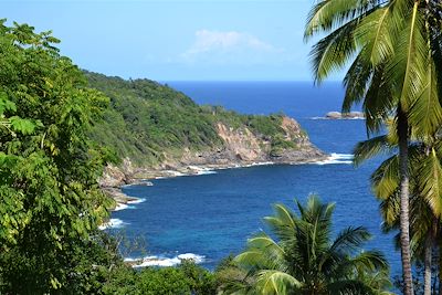 Jenny Point - Dominique