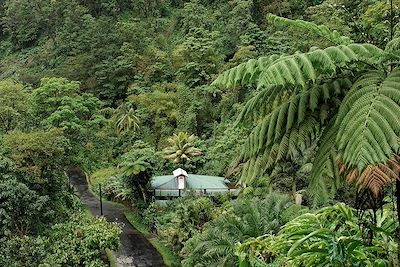 Vallée de Roseau - La Dominique