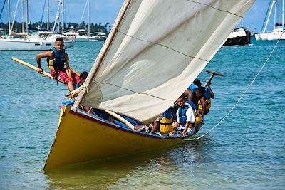 Multi-activités en Martinique