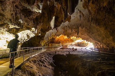 La Grande Caverne - La Réserve François Leguat - Ile Rodrigues - Iles Maurice