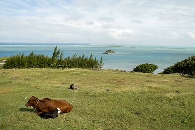 Ile Rodrigues - Iles Maurice