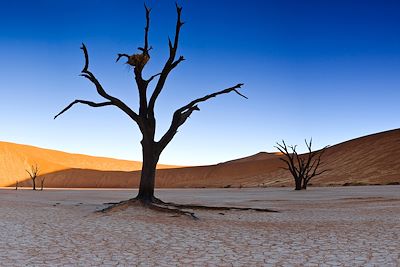 © Sossus Dune Lodge - Sossusvlei - Namib Central - Namibie Sossusvlei - Namib Central - Namibie