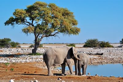 Voyage Splendeurs de Namibie 2