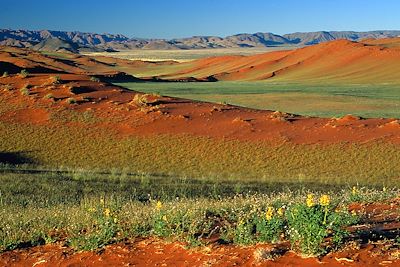 © Gondwana Collection - Désert du Kalahari - Namibie Désert du Kalahari - Namibie