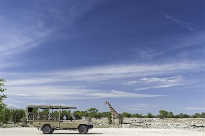 Parc national d'Etosha - Nambie