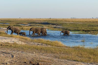 Road trip en Namibie jusqu'aux chutes Victoria