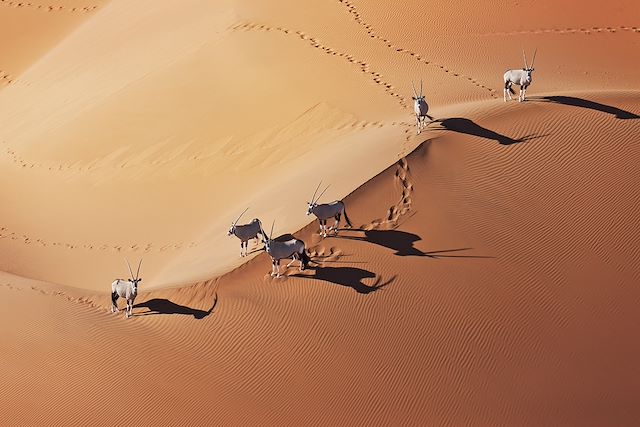 Voyage Road trip en Namibie jusqu'aux chutes Victoria
