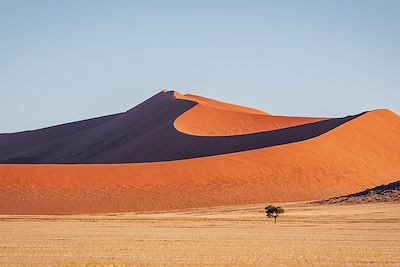 Désert - Naukluft National Park - Namibie