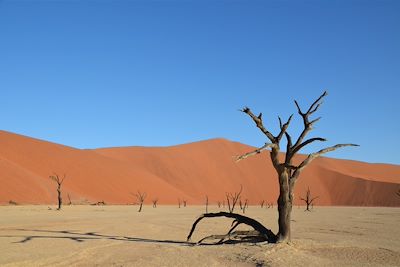 © Laetitia Ferreira - Dead Vlei - Dunes de Sossusvlei - Parc national du Namib-Naukluft - Namibie Dead Vlei - Dunes de Sossusvlei - Parc national du Namib-Naukluft - Namibie