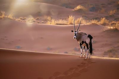 La Namibie à votre rythme