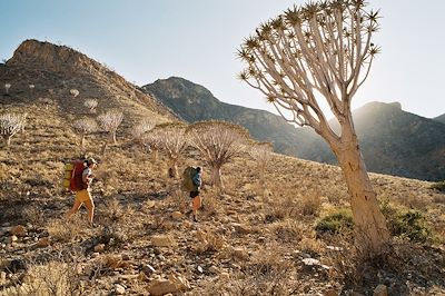 Trek dans le désert en Namibie