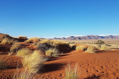 Voyage Namibie