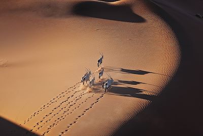 Randonnée Désert du Namib